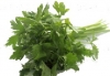 Parsley
